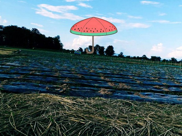 ���꡷���Ҿ