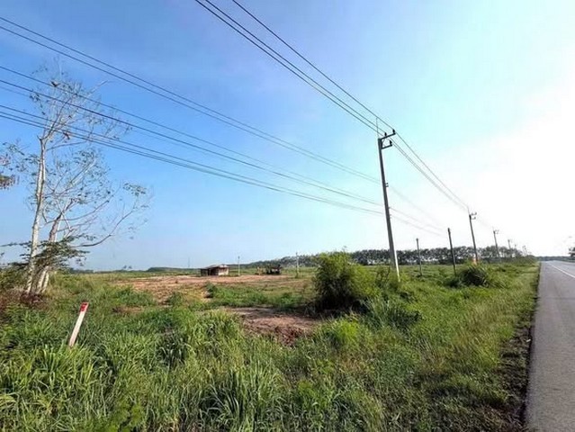 ���꡷���Ҿ
