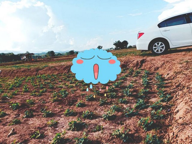 ���꡷���Ҿ