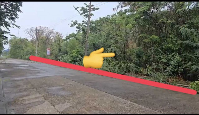 ���꡷���Ҿ