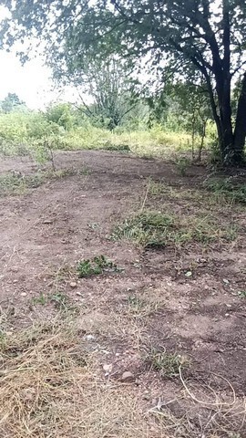 ���꡷���Ҿ