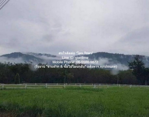 ���꡷���Ҿ