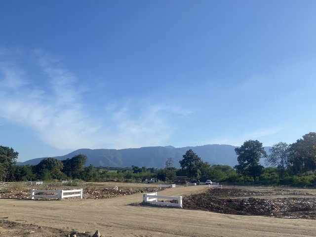 ���꡷���Ҿ